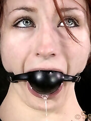 Everyone dungeon should have one. A bound and gagged pet just waiting to have all of her fuckholes stuffed total of rock hard cock. Ours is Violet Monroe. She sports long, red hair, mild, cream colored skin, and immense, blue eyes. And the greatest part of having her here is playing with her. She isn't the kind of beast that needs long ambles, so much as long cocks. A sexual animal, that is ready to ravage.