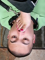 Mean Amazon Bitches.com Where Voluptuous round damsels smother helpless little wimps into conformity