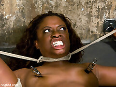 Monique in Hogtied Welcome Sexy Milf Monique For Her Very First Hardcore Bondage Experience. - HogTied