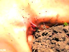 Queensnake.com - Compilation