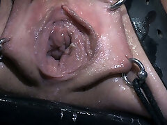 Bald slutty nymph Abigail Dupree got her pierced kitty investigated raunchy