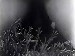 Retro Pornography Archive - hard118