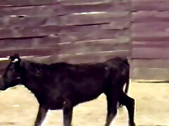 Spanish Fly (1985) Spanish Fly (1985)