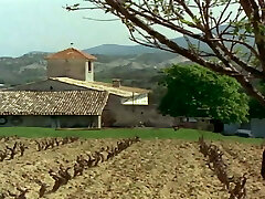 Vicieuse amandine (1976) Vicieuse amandine (1976)