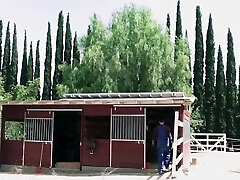 джесса роудс не может удержаться, чтобы не подпрыгнуть на члене парня джесса роудс не может удержаться, чтобы не подпрыгнуть на члене парня