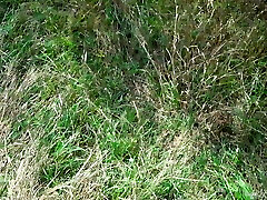 A Fellow Saw A Cute Kitty In The Forest And Fuck in The Mouth