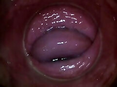 PJGIRLS - Camera deep inside Paula Shy's vagina (Total HD Pussy Webcam)