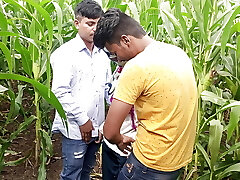 Indian Pooja Shemale Boyfrends Took A New Buddies To Pooja Corn Field Today And 3 Frends Had A Lot Of Fun In Sex