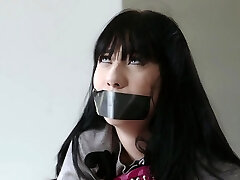 प्यारा जाहिल लड़की और गधे में गड़बड़ प्यारा जाहिल लड़की और गधे में गड़बड़