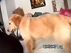 Sd - donna tears up her beau richard again in her dorm for a creampie