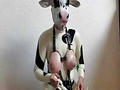 Nippeltraining Nippeltraining