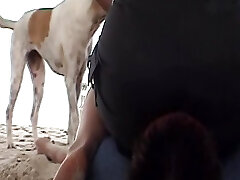 A insane German doll sitting on her slaves's face at the beach A insane German doll sitting on her slaves's face at the beach