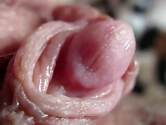Pulsing Hard Clitoris In Extraordinary Close Up