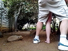 Fuckin' the neighbors wife in the garden