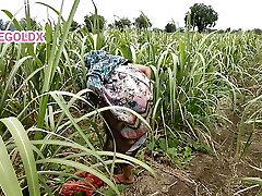 Komal fuck by Malik while working in the field