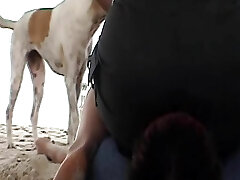 A crazy German female sitting on her slaves's face at the beach