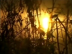 Grandmother's fairy tales. Gingerbread damsel.(1999)