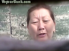Hairy cootchie of a mature Asian lady in the public toilet bedroom
