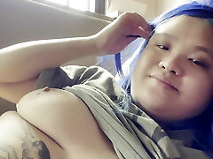 गलफुला एशियाई बिल्ली गलफुला एशियाई बिल्ली