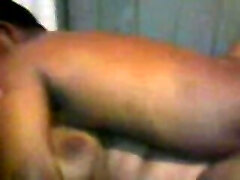 श्रीलंकाई गलफुल्ला जीएल भाग 4 (त्रिगुट) श्रीलंकाई गलफुल्ला जीएल भाग 4 (त्रिगुट)