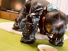 Vibrator Have Fun and Meal Time