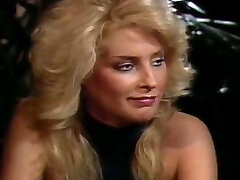 बिल्ली महिलाओं बिल्ली महिलाओं