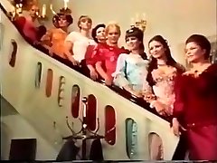 Solid Palace Solid Palace