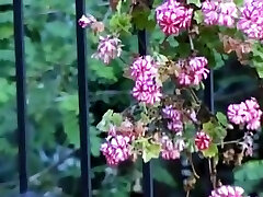 LES AVALEUSES - फ्रेंच - पूर्ण फिल्म -JB$आर LES AVALEUSES - फ्रेंच - पूर्ण फिल्म -JB$आर