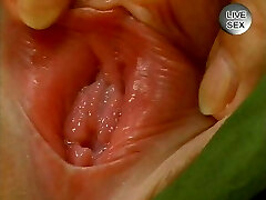 डाई फॉट्ज़ में गोरा अर्स्ट रासिएरेन डैन दास स्पीलज़ेग डाई फॉट्ज़ में गोरा अर्स्ट रासिएरेन डैन दास स्पीलज़ेग