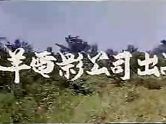 vintage from taiwan