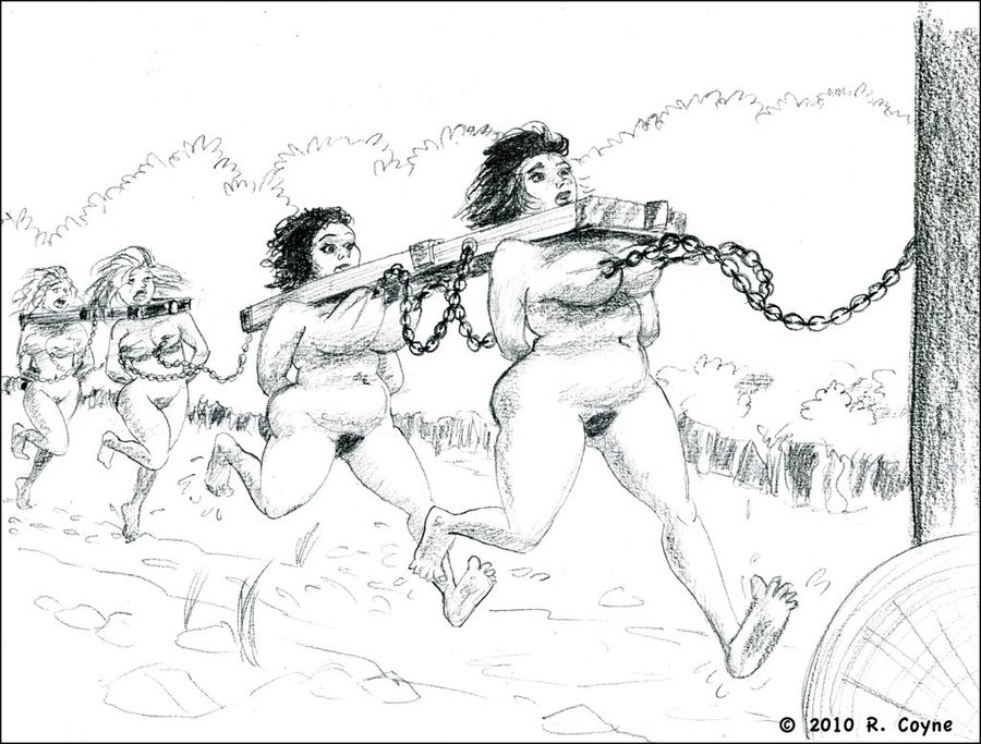 The pencil drawn BDSM artwork of Roman Coyne focuses on slave women and the  abuses they must suffer