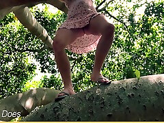 妻子看到一棵树，不得不爬上它，但忘了她的内裤