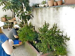www desipapa con with the voyeur gardener with a girl in a short dress without panties