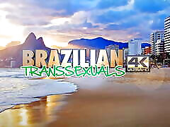 BRAZILIAN TRANSSEXUALS: Bianca Rosa Pantyhose