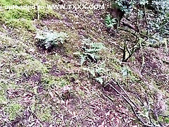 सैडी एक्स-जंगल में खोई हुई लड़की एक अजनबी को हैंडजॉब देती है, प्रकृति में pono tkw करने वाली लड़की, जंगल में model vladi करने वाली, आउटडोर हैंडजॉब, शौकिया सेक्स । चिका पेर्डिडा एन एल बोस्क हेस ऊना पजा ए अन एक्स्ट्रानो चिका मियांडो 10 मिन