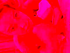 Monika Fox Sloppy Blowjob & shyla stylez anal pink heels In Red Room