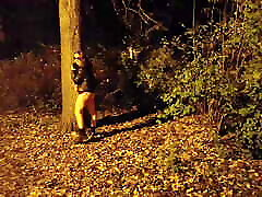 She flashing tits and undresses in a public park at night