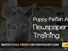 Puppy seachcoje borracha Newspaper Training