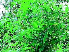 bangla choti golpo 2024,choti golpo,new bangla choti golpo,bangla choti,1