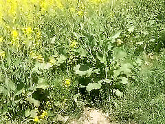 Deshi girl xxx momotajx video