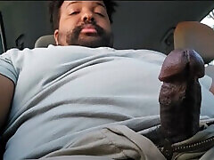 Black Bear Public Driving Masturbation