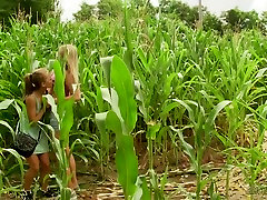 Palatable amateur girls pussy licking each other in the field