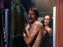 Meg Foster,Linda Carpenter in A Different aladin sex 1978