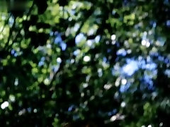 सुबह डनलप,सुजाना Traverso,Katt एक प्रकार का वृक्ष,Lana Clarkson,विभिन्न अभिनेत्रियों में जंगली रानी 1985