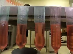 Condom Production Experiment