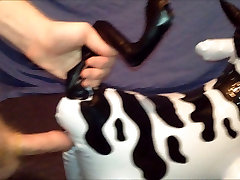 Holy inflatable cow!