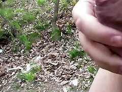 Romanian guy fucks a street hooker in the woods POV
