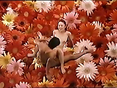 Kyoko Aizome, Chizu Kirinami - Hakujitsumu 2 aka Daydream 2 1987