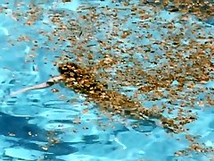 swimming pool 2003 mit charlotte rampling, ludivine sagnier