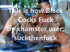 Big black cocks know klaudia kelly lesbain anal to fuck